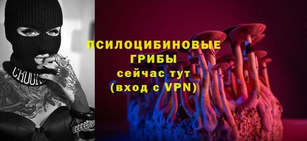 ALPHA-PVP Аркадак