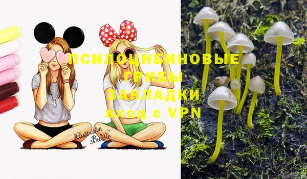 прущая мука Армянск
